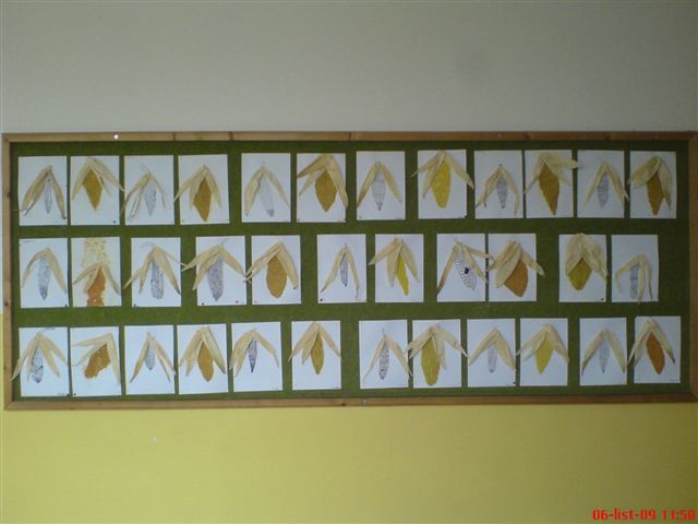 Nástěnka kukuřice.JPG